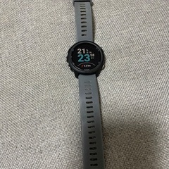 Garmin245