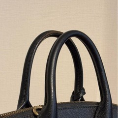 LOUISVUITTON ポンヌフ ミニ モノグラム アンプラント モノグラム アンプラント  M41743 ルイヴィトン バック ハンドバッグ の画像