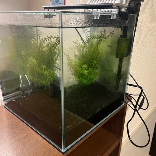 30cm 水槽セット ADA30cm海水水槽セット 【公式通販】