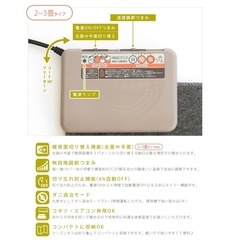【美品】3畳　ホットカーペット　2枚セットの画像