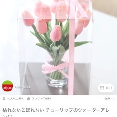 チューリップ　の画像
