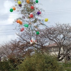 竹をゆずってください