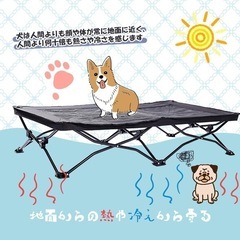 【大型犬OK】ドッグコット・ドッグベッドの画像