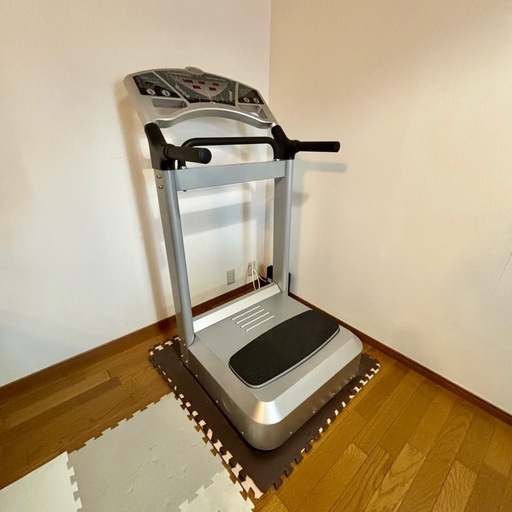 楽してフィットネス『業務用　振動マシン』