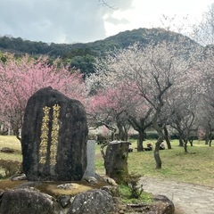 旅好きさん集まれ！旅仲間グルチャ！