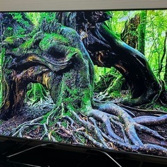 値下　ハイセンス　75インチ　テレビ　75U8F