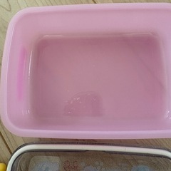 女の子　お弁当箱の画像