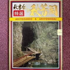 昭和レトロ　秋芳洞ポストカード