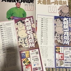 大相撲　朝乃山　ポストカード　冊子　まとめての画像