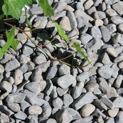 正宇トレードLLC 川玉砂利 黒系 天然石 お庭 ガーデニング 丸砂利 防草対策 5分(15～20ｍｍ) 10kgの画像