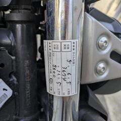 希少　インドヤマハ　マットブラック　Fz-x150の画像