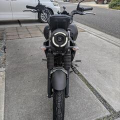 希少　インドヤマハ　マットブラック　Fz-x150の画像