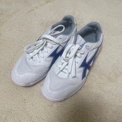 お話し中　白川中　体育館シューズ　女子使用　25cm　