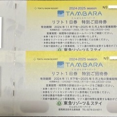 たんばらスキーパーク　リフト券　2枚