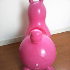 ロディの画像