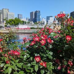 日帰り旅行　40代〜友達募集🌸