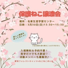 保護猫譲渡会　名古屋市　