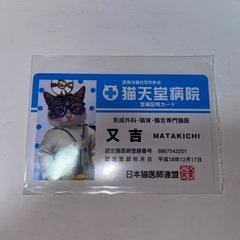 なめ猫の中古が安い！激安で譲ります・無料であげます｜ジモティー