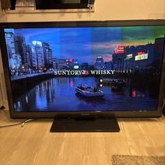 Panasonic 3D VIERA TH-P55GT3 55インチ
