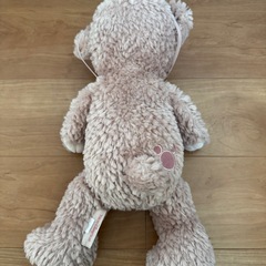 ダッフィー & シェリーメイ ぬいぐるみの画像