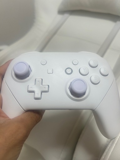 Switchプロコン ホワイトカスタム