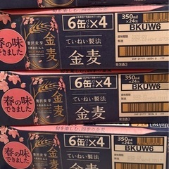 金麦5箱6缶パック×4 