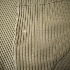 【売却済/無料】ユニクロ　レディース　リブクロップドTシャツの画像