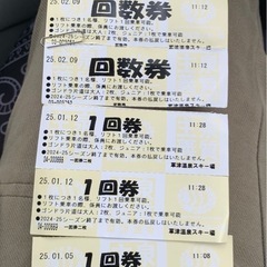 草津スキー場リフト回数券8枚、キッズパーク割引券set
