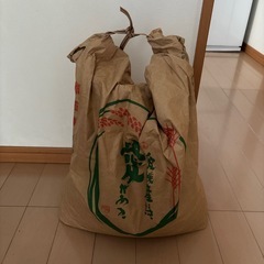 ③【久万高原産】令和４年　あきたこまち　10kg強