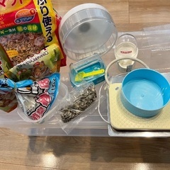 ハムスター飼育セット