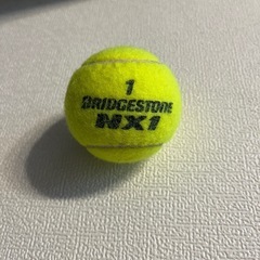 テニスボールの画像