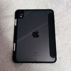 iPad mini6 Wi‑Fi Cellular 256GB ...