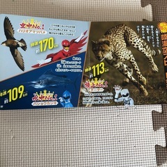 本の画像