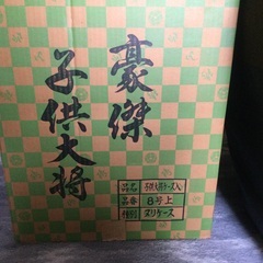 五月人形　兜　節句の画像