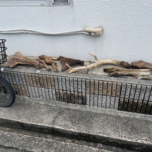 流木セット