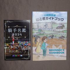 LiSA　LADYBUG (完全生産限定盤)　東京神奈川で取引　希望者には2枚目以降の商品もお付けできますの画像