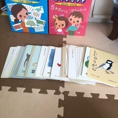 ほぼ未使用　七田式　ドッツセット(CD付き)+家庭保育園カード100枚ほどの画像
