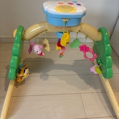 プーメリー の画像