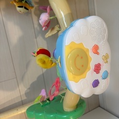 プーメリー の画像