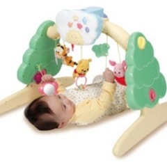 プーメリー の画像