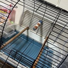 鳥飼育セット　鳥かご　餌　ペットヒーターの画像