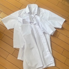  7月末処分 半袖ワイシャツ 160A 2枚セットの画像
