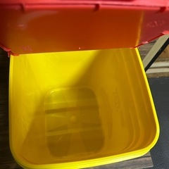 収納ケース、アメリカン、猫ちゃん
の画像