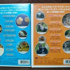 子供向けDVD　2本セット　わくわく動物園＆水族館の画像