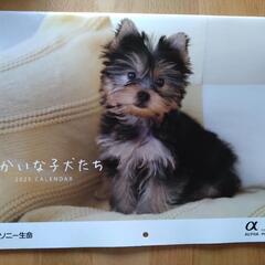 子犬カレンダー