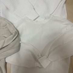 レディース　スウェット　まとめうりの画像