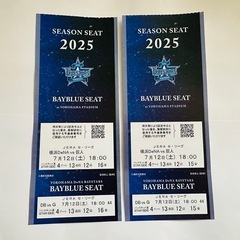 2025年シーズン 横浜スタジアム BAYBLUE SEAT