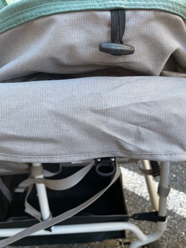 エアバギーココダブルEXフロムバース（クローバー）