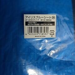 🟢 ブルーシート　④の画像
