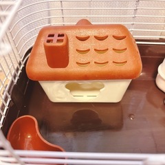 ハムスターお迎えセット！キャリーケージ回し車ホイールハウストイレの画像
